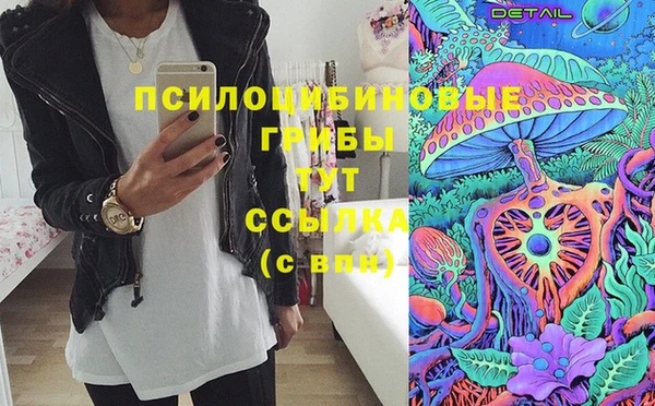 ПСИЛОЦИБИНОВЫЕ ГРИБЫ Алексин
