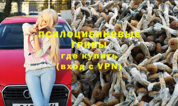 индика Алексеевка