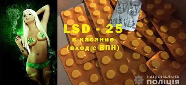 ПСИЛОЦИБИНОВЫЕ ГРИБЫ Алексин