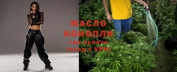 индика Алексеевка